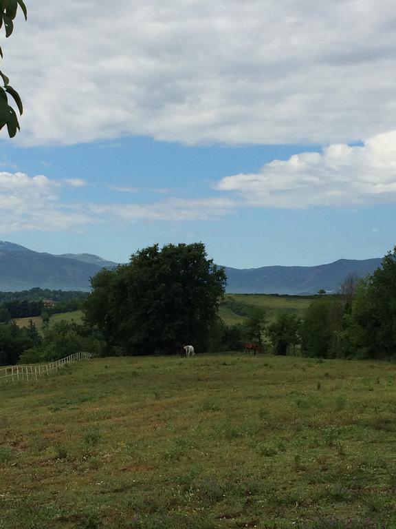 Tenuta Di Vico Moricino أناني الغرفة الصورة