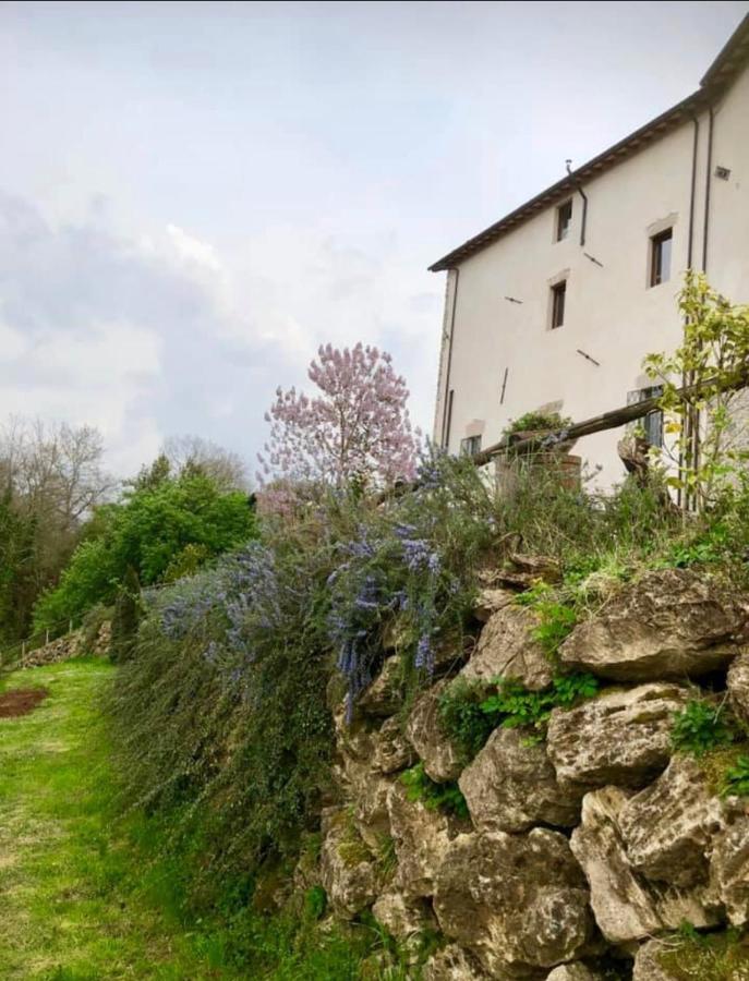 Tenuta Di Vico Moricino أناني المظهر الخارجي الصورة