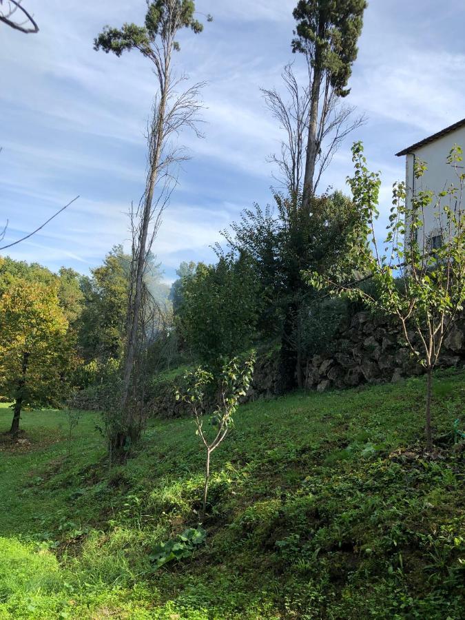 Tenuta Di Vico Moricino أناني المظهر الخارجي الصورة